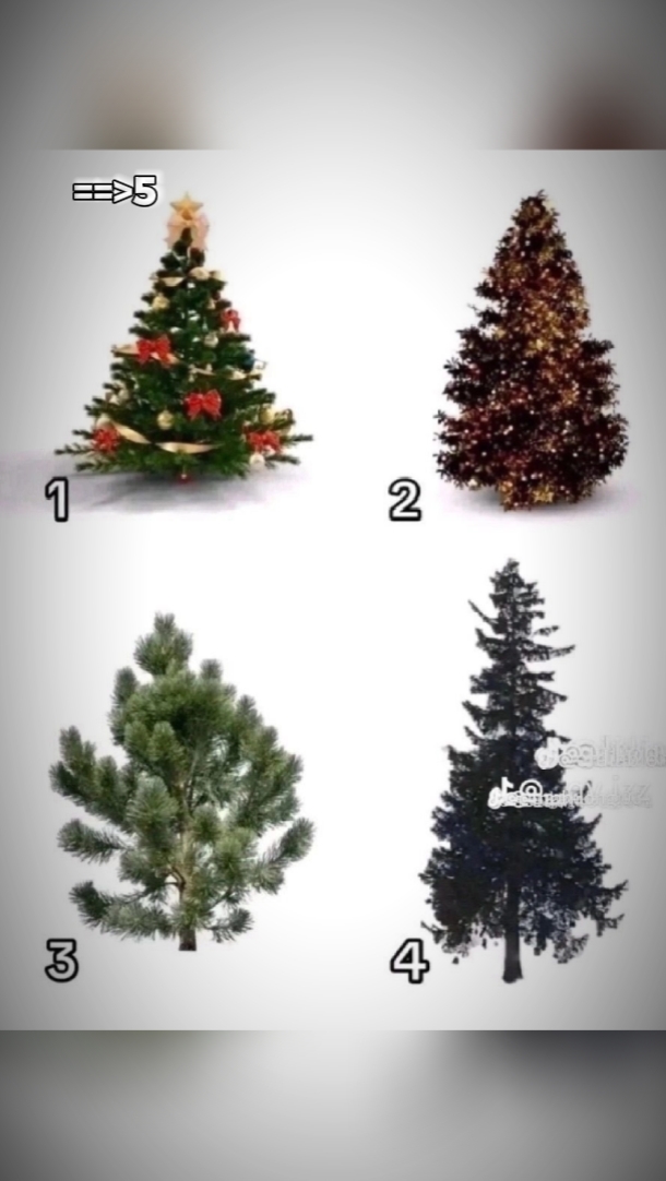 Noel cùng người yêu