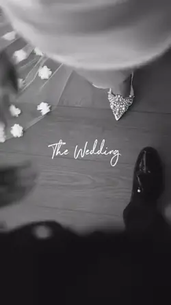 The Wedding minivlog