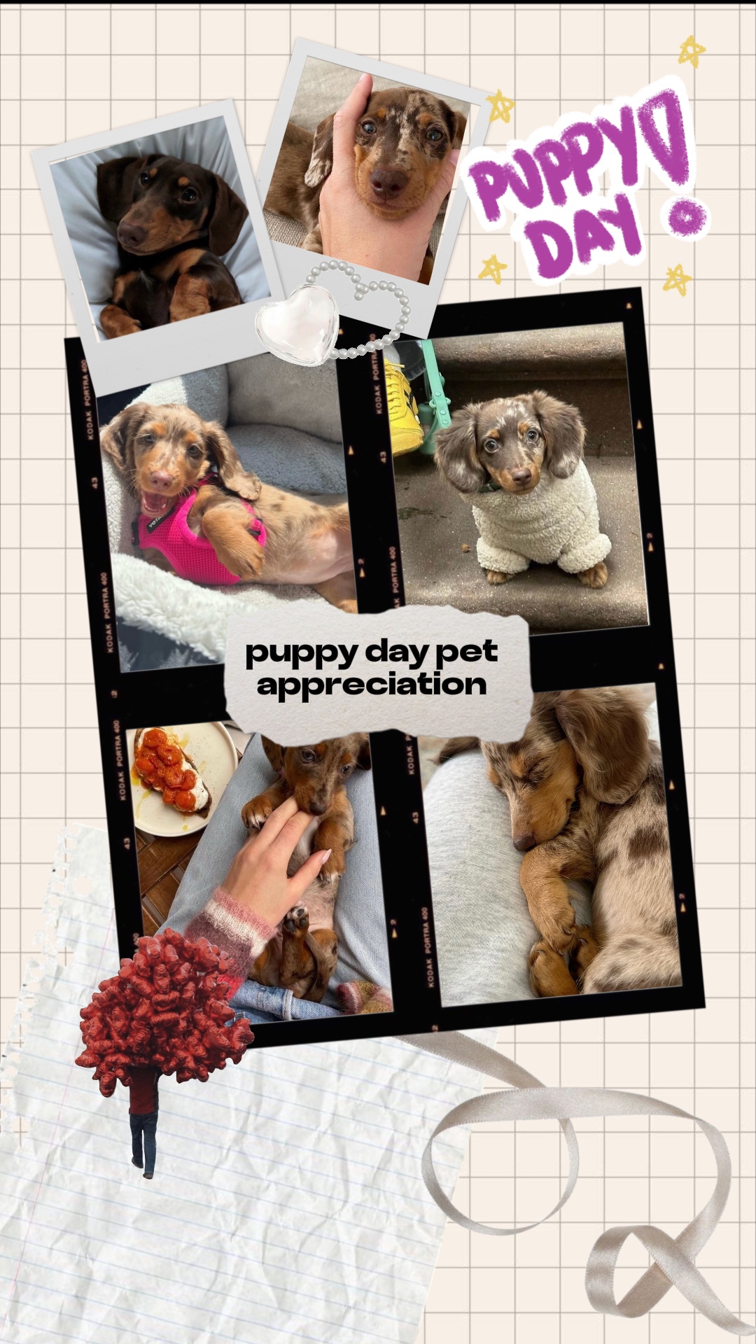 puppy day
