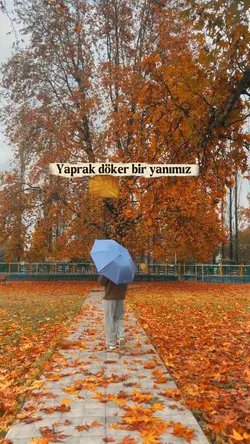 dostum dostum