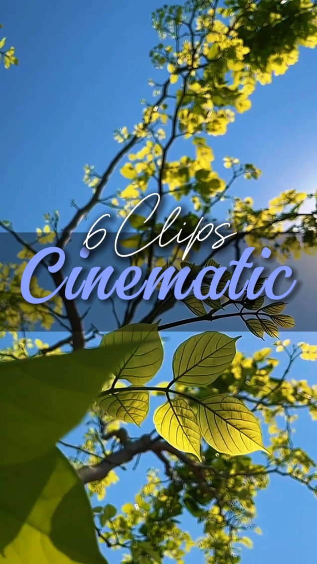 CINEMATIC 6 CLIPS 