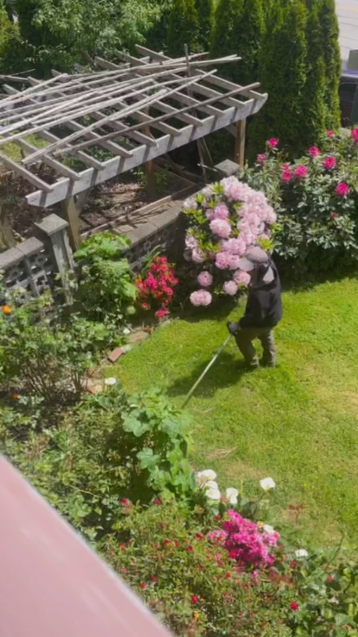 Jardinagem