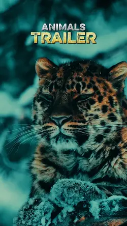 ANIMALS TRAILER