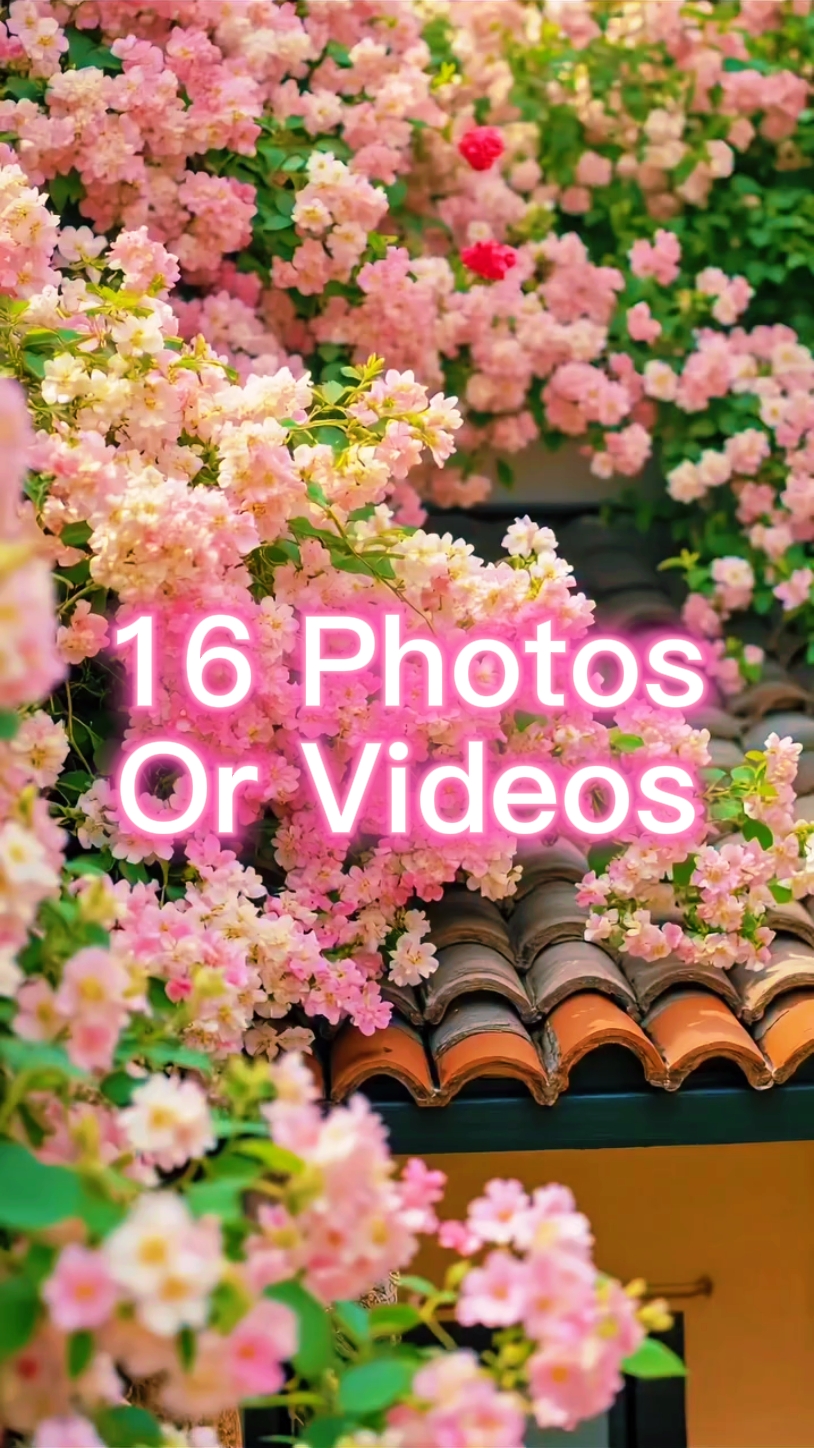 16 slides de fotos