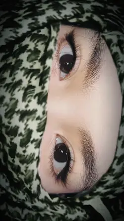 habibi trend