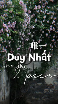 唯一 (抖音DJ版)