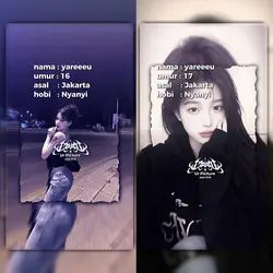nomir collab 2