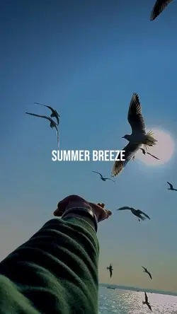summer breeze