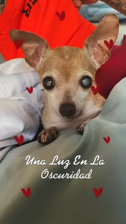 Demasiada personalid