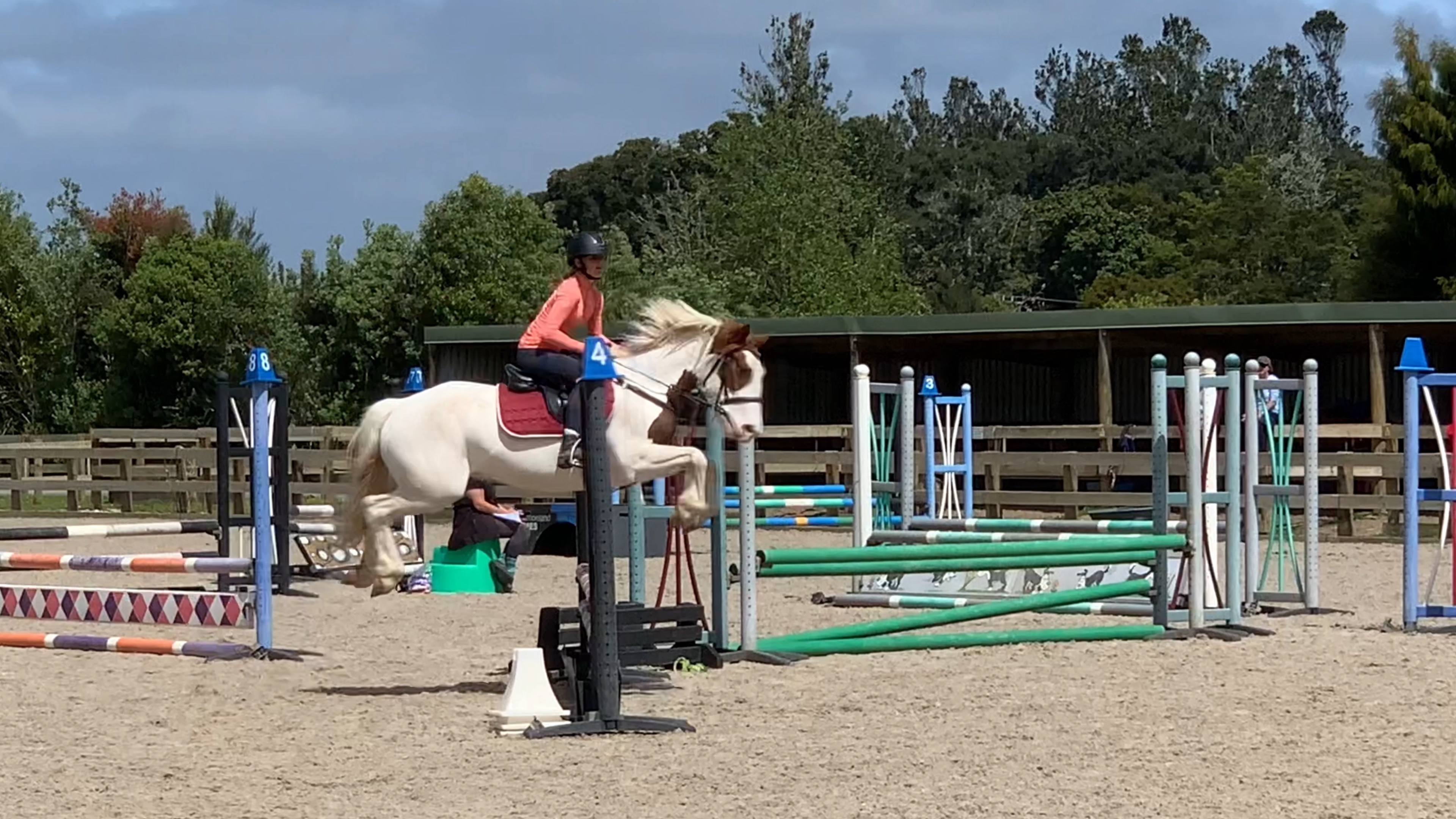 Alfie on camp 🤩🤩