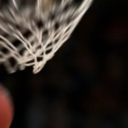 The best sport? 🤔🤔