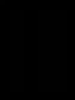 Nippu ❤️💸😎