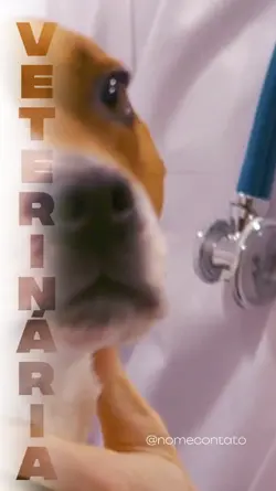 VETERINÁRIA ANIMAIS