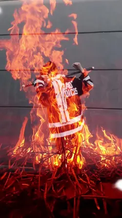 viral video 