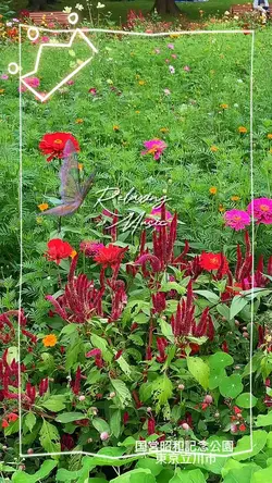 美しいリラックスできる音楽