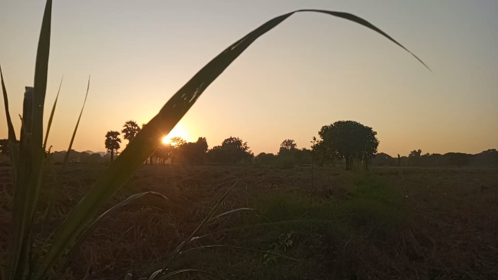 လေးစားစွာဖြင့်