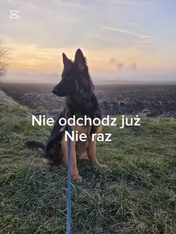 Nie odchodź!