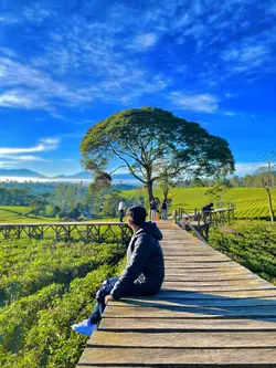 HD + JERNIH