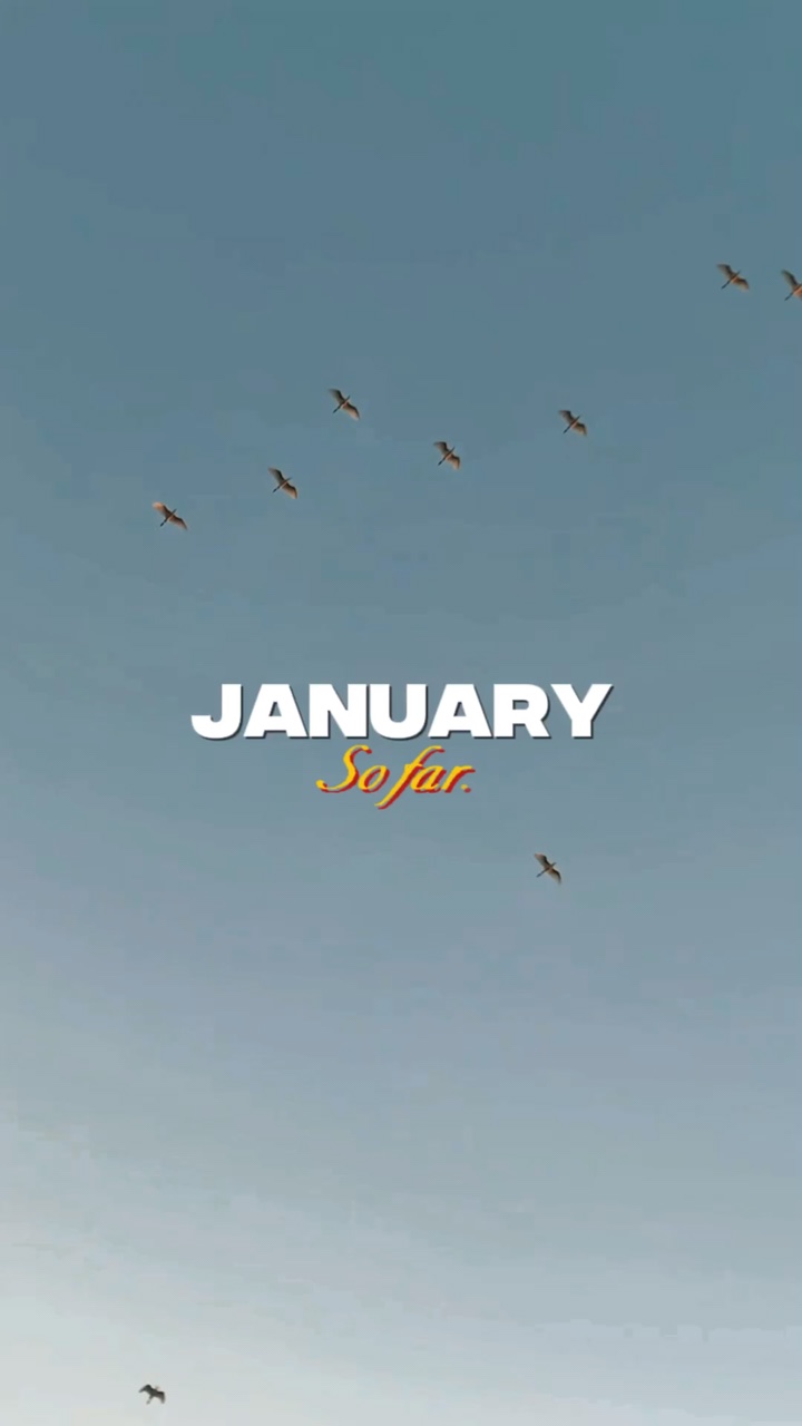 지금까지 1월✨