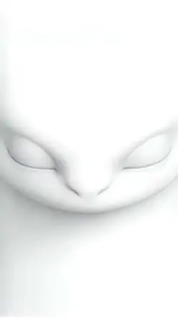 Little White Dragon