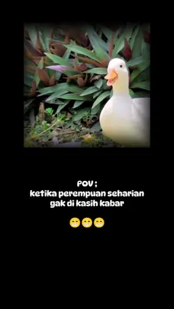 gini ya
