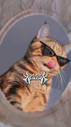 เพลงฮิตใน Tik Tok