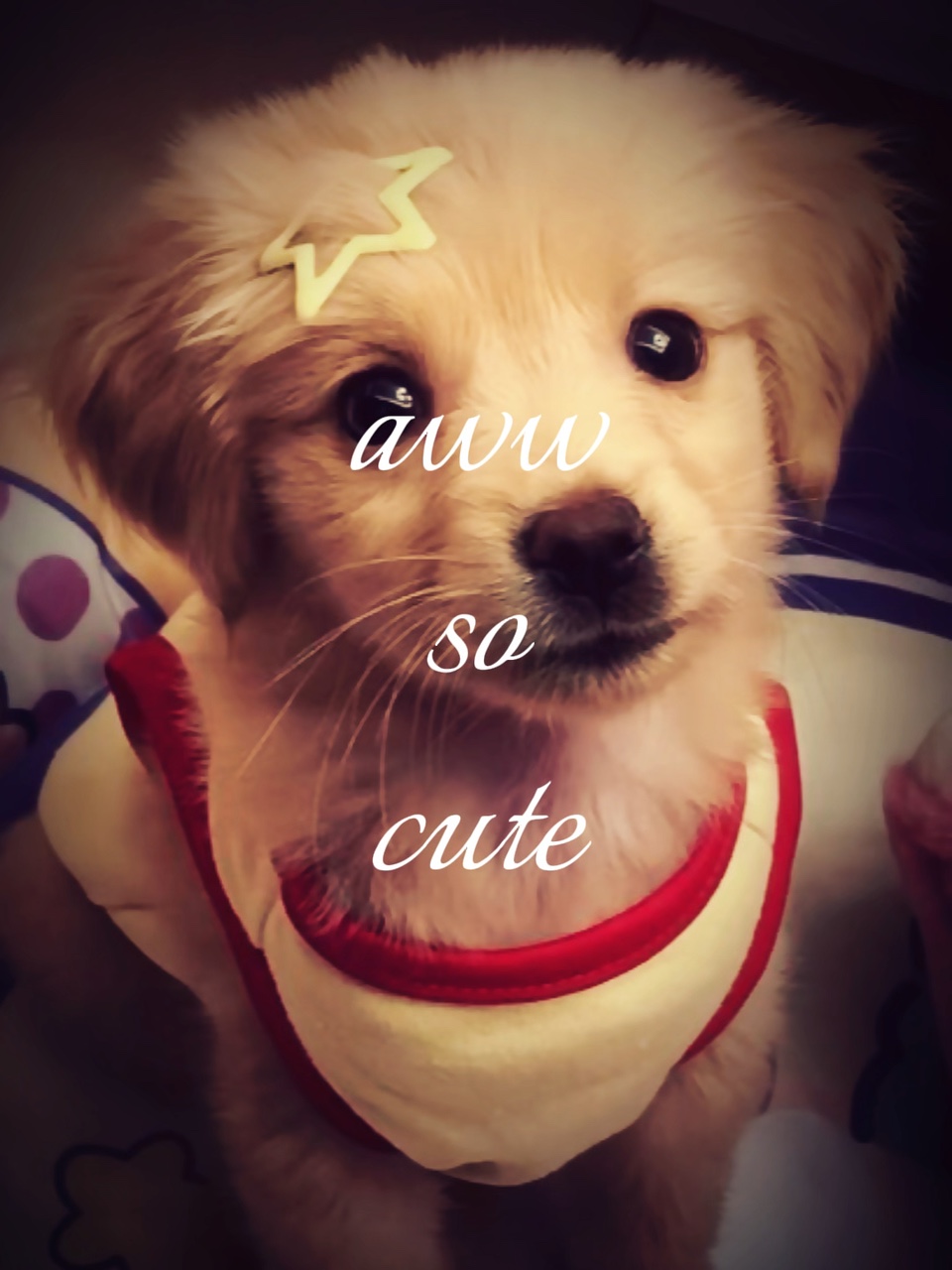 Aww, así que corta