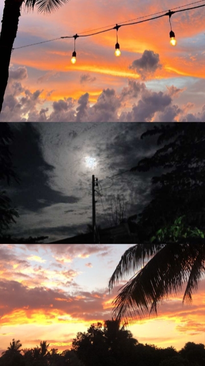 3PICS