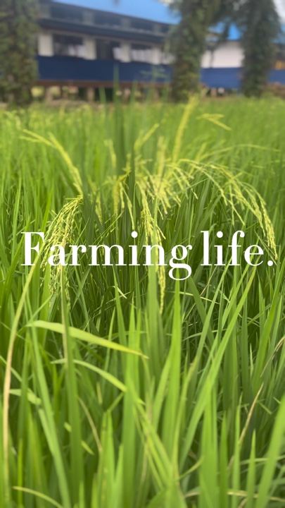Farming life