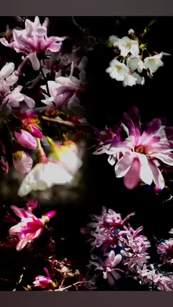 amazing floral world