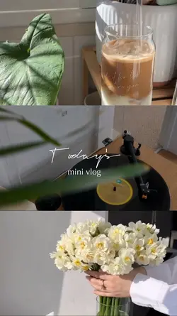 Today's mini vlog