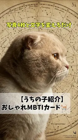 【うちの子紹介】おしゃれMBTIカード