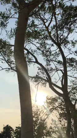 ไลฟ์โฟโต้ ใน แอนดรอย