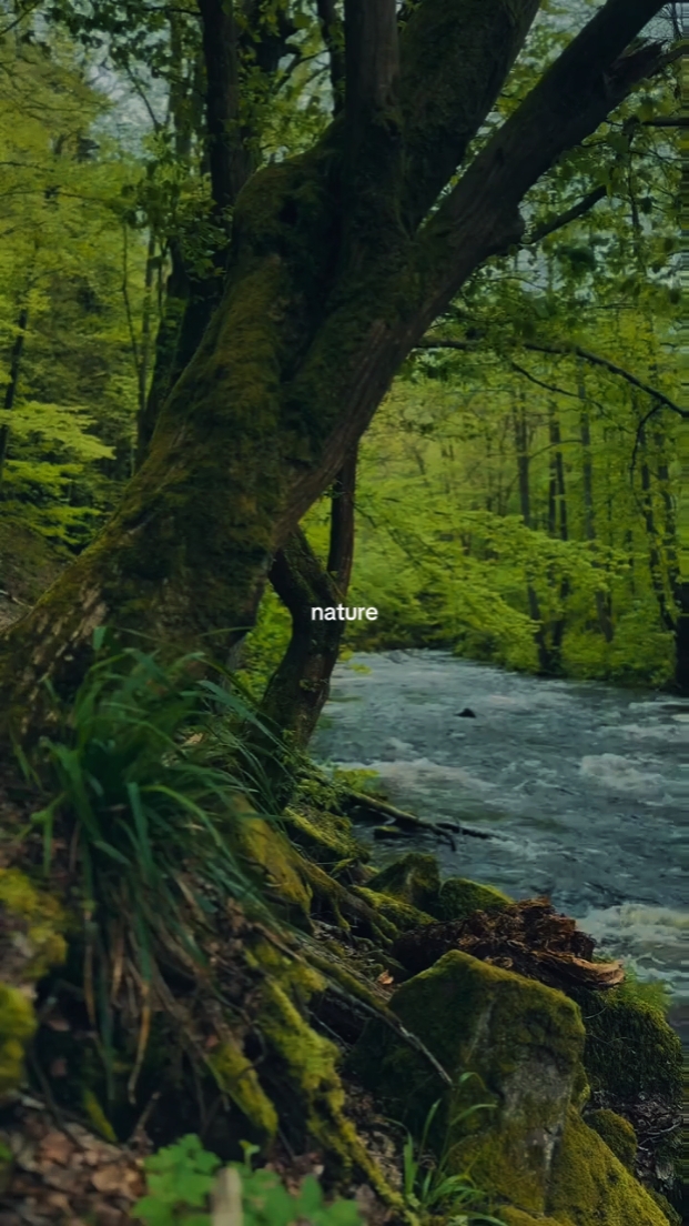 Naturaleza