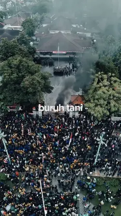 buruh tani vlog