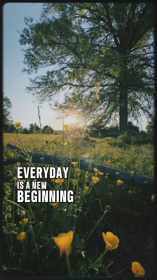 Motivation