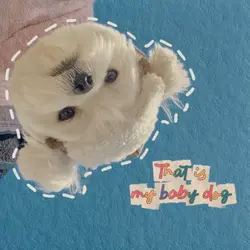 That's my baby dog🐶