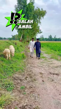 !?Salah Ambil