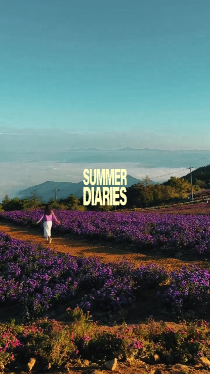 summer diaries 