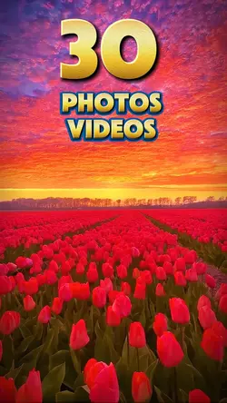 30 photos or videos 