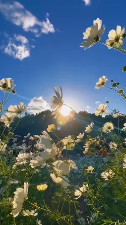 Spring Cute