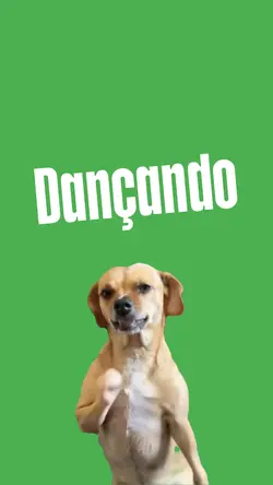 Caramelo dançando 