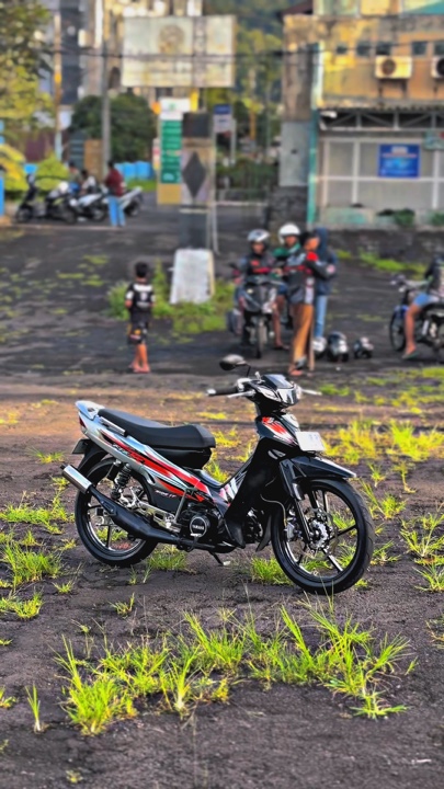Cover Picture
