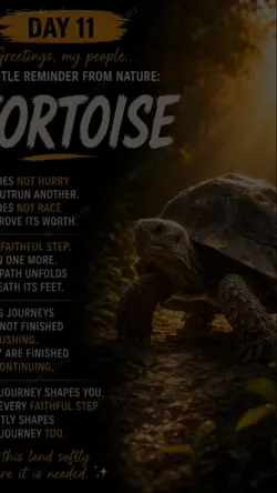 #Tortoise