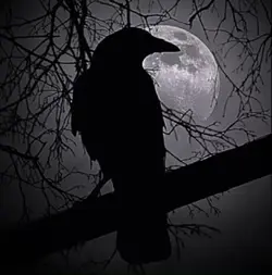 Les étoiles tombent<