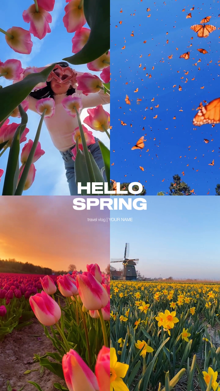 hallo frühling 