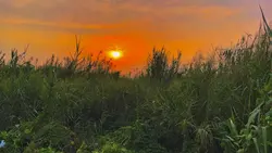 Hoàng hôn chill