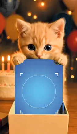GATINHO FOFO NATAL