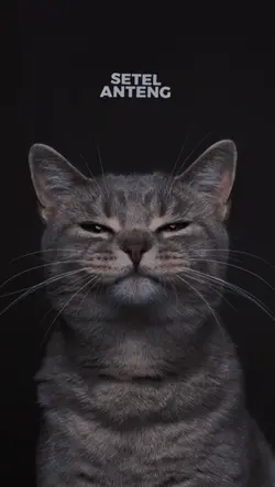 Konsisten bledos