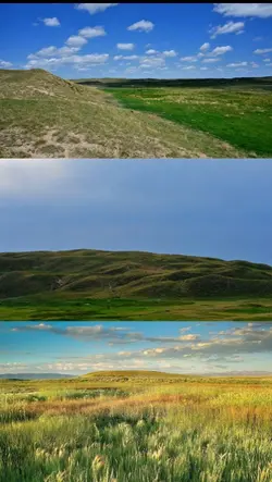 3 pic 